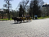 Erfurt 2010 134.jpg Erfurt 2010 134.jpg